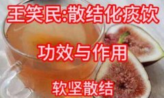 王笑民:散结化痰饮的功效与作用,做法,小孩孕妇能吃吗,软坚散结